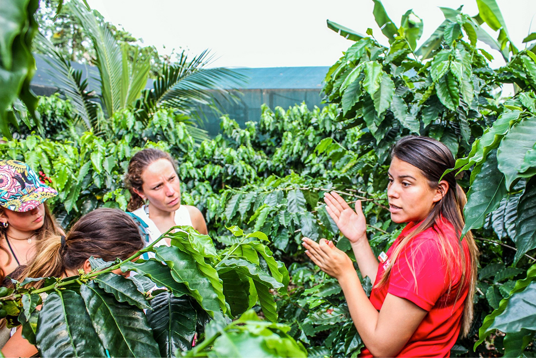 Coffee & Chocolate Tours
