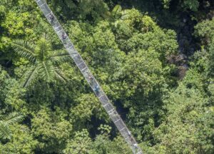 Design Your Arenal Experience