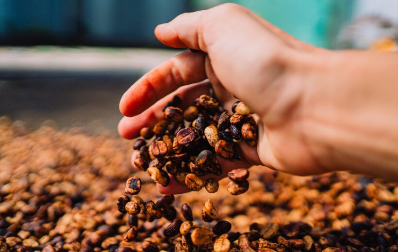 Monteverde Coffee Tour: Organic Farm-to-Cup Experience
